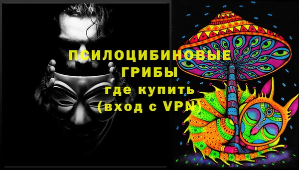 индика Волосово