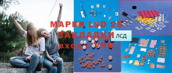 стаф Вяземский