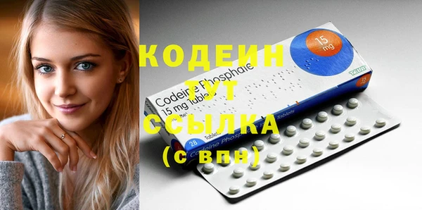 крисы Горняк