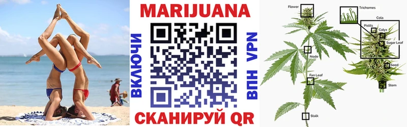 купить   Зеленогорск  Бошки Шишки конопля 